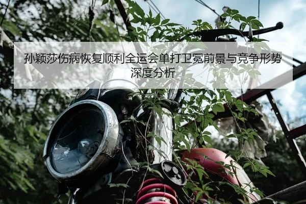 孙颖莎伤病恢复顺利全运会单打卫冕前景与竞争形势深度分析